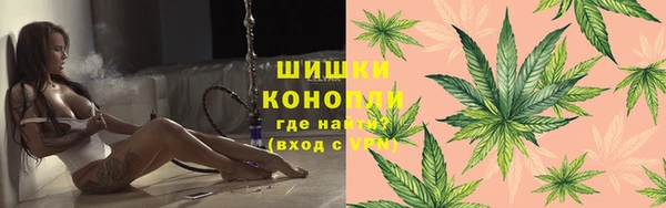 дмт Заводоуковск