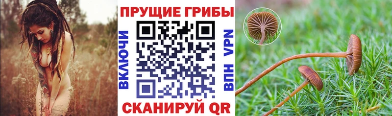 Псилоцибиновые грибы Magic Shrooms  купить   Находка 